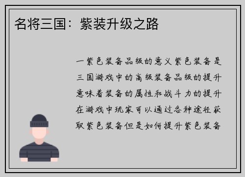名将三国：紫装升级之路